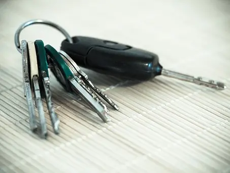 Car-Key-Duplication--Car-Key-Duplication-5641746-image